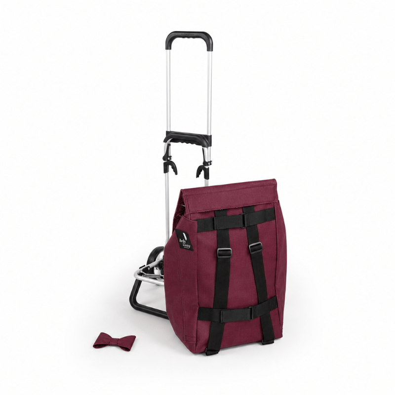 Folybag Dixi Rasp X